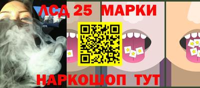 индика Моздок