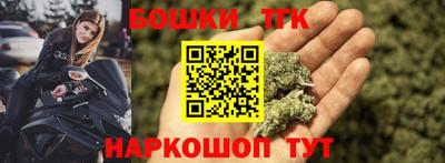 индика Моздок