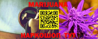 индика Моздок