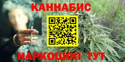 индика Моздок
