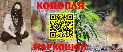 индика Моздок