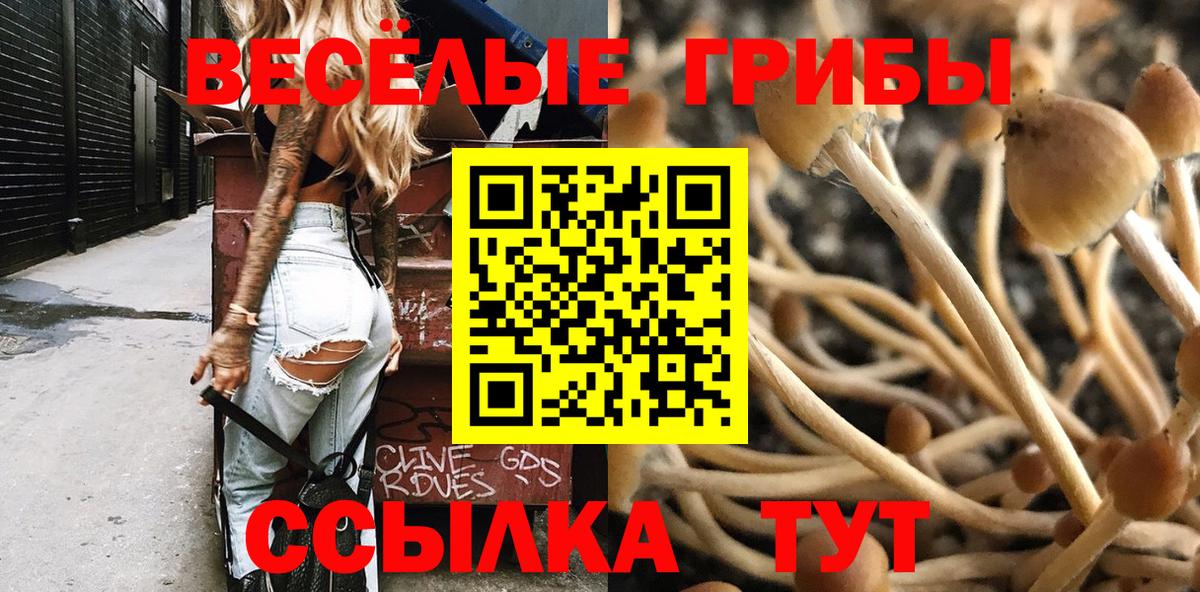 Галлюциногенные грибы Magic Shrooms  Псилоцибиновые грибы Cubensis  Вход с VPN  Сорочинск 