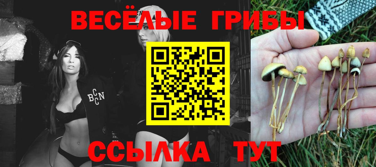 Галлюциногенные грибы прущие грибы Сорочинск